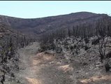 El incendio de Mallorca ha quemado ya unas 480 hectáreas