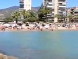 Las playas de la Comunidad Valenciana vuelven a la normalidad tras la llegada de peces raya a la costa