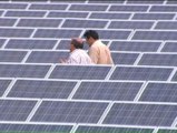 Los inversores en huertos solares afirman que la reforma energética va a arruinarlos