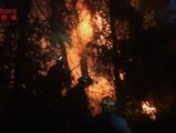 El incendio de Vallirana ya está controlado