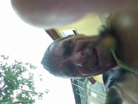 Un 'gallo astronauta' aterriza encima de unas higueras gallegas en la aldea de Vivenzo