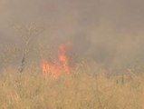 Hartos del fuego en verano