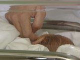 Los nacimientos podrán registrarse desde el hospital