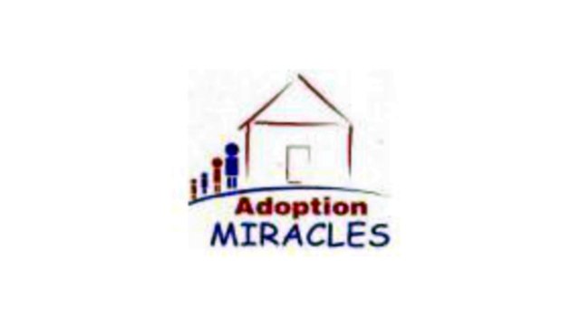 International Adoption Agencies in Florida