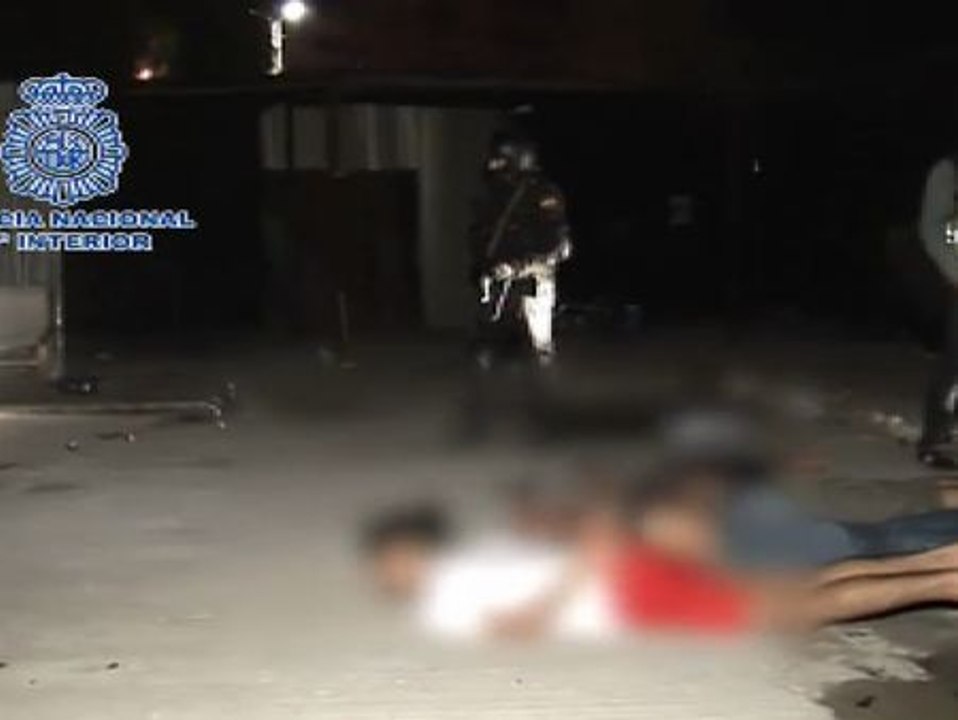 Cinco  detenidos en una operación contra el terrorismo islamista