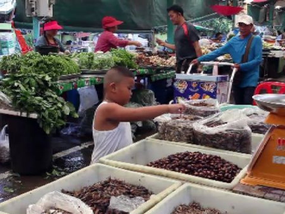 Los insectos, un alimento habitual en Tailandia