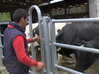 Parados vuelven al sector primario