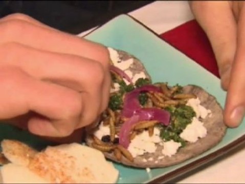 La FAO recomienda explorar el uso de los insectos como fuente de alimentación para paliar el hambre.