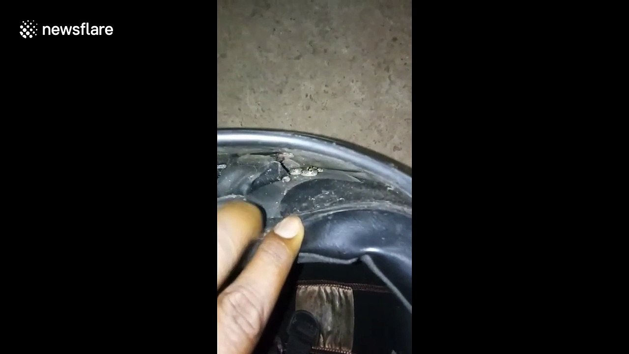Motorcyclist left terrified after tiny snake takes refuge inside his helmet