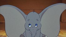 Dumbo è realmente esistito: la tragica storia dell'elefantino più famoso del mondo