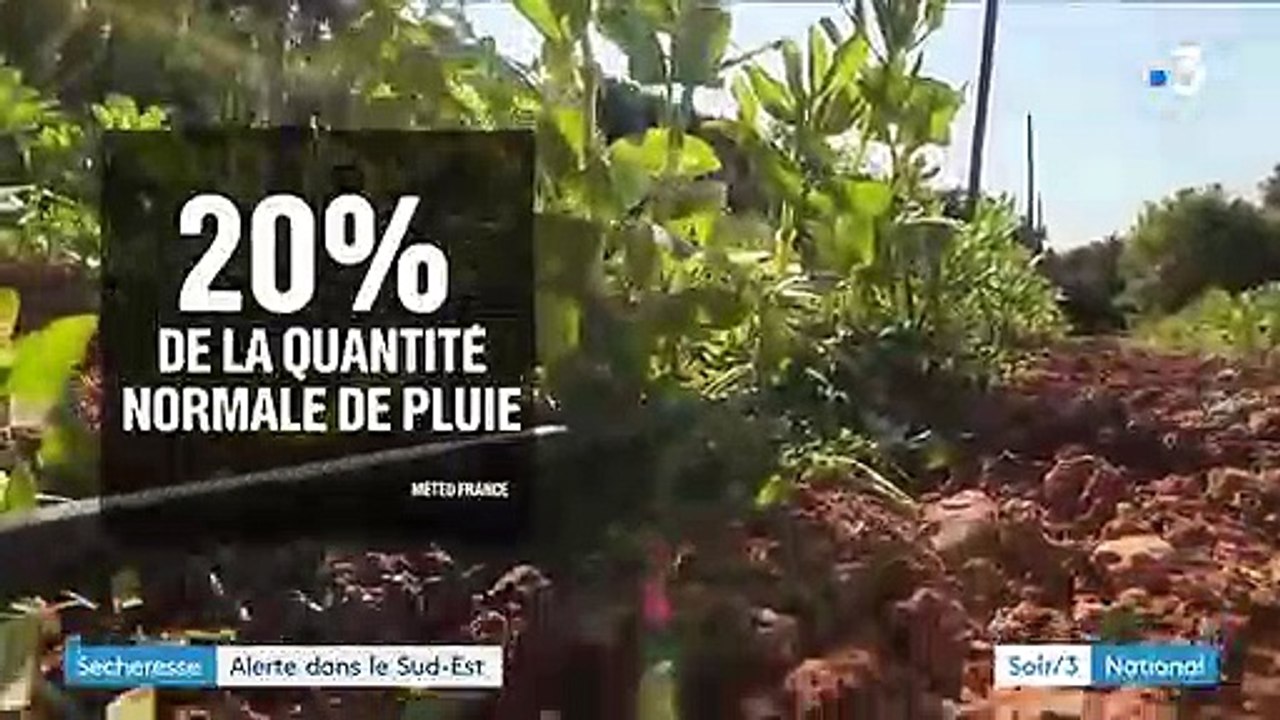 Climat : le Sud-Est victime de la sécheresse en plein hiver