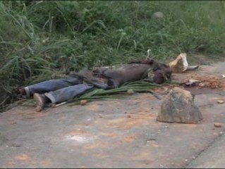 Caos y violencia en la república centroafricana