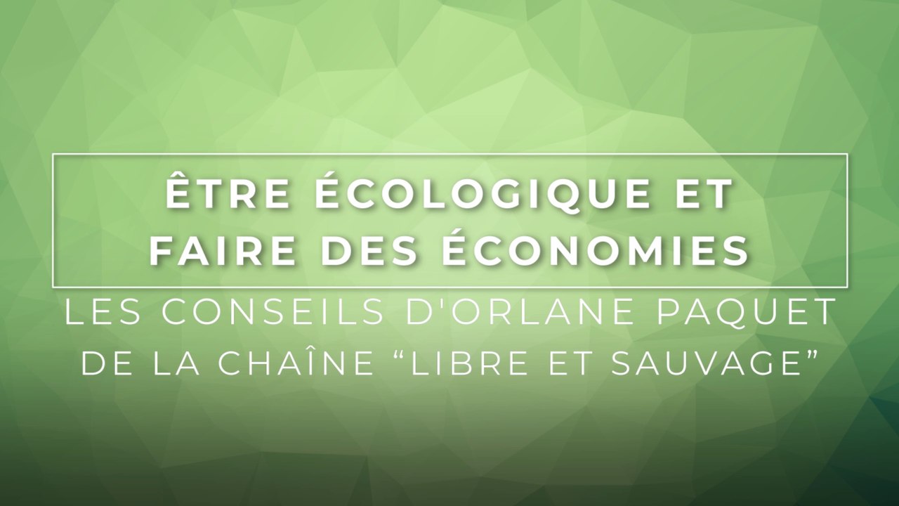 Être écologique et faire des économies - Les conseils d'Orlane Paquet