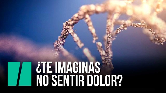 ¿Te imaginas no sentir dolor?