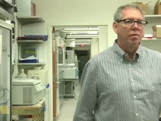 "Hay que ver la obesidad como una diferencia biológica, no como un fracaso personal"