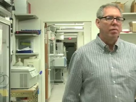 Hay que ver la obesidad como una diferencia biológica, no como un fracaso personal