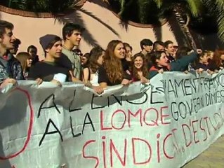 Los estudiantes vuelven a echarse a la calle