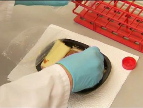 Nestlé retira productos con carne de caballo en España e Italia