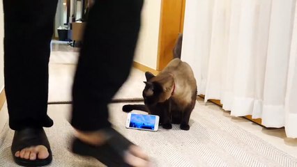 (봉화출장마사지) ##P 100%후불-【 Ø1Ø↔6648↔8529카톡SBS88】봉화출장안마, 봉화출장안마후기, 봉화출장안마'만족τ봉화출장안마'만족도1위 20대여대생의 최상위 서비스