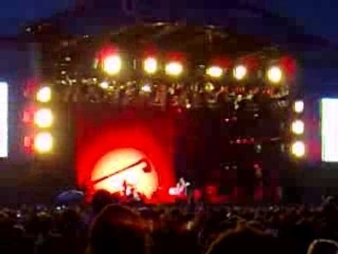 The White Stripes - Blue Orchid