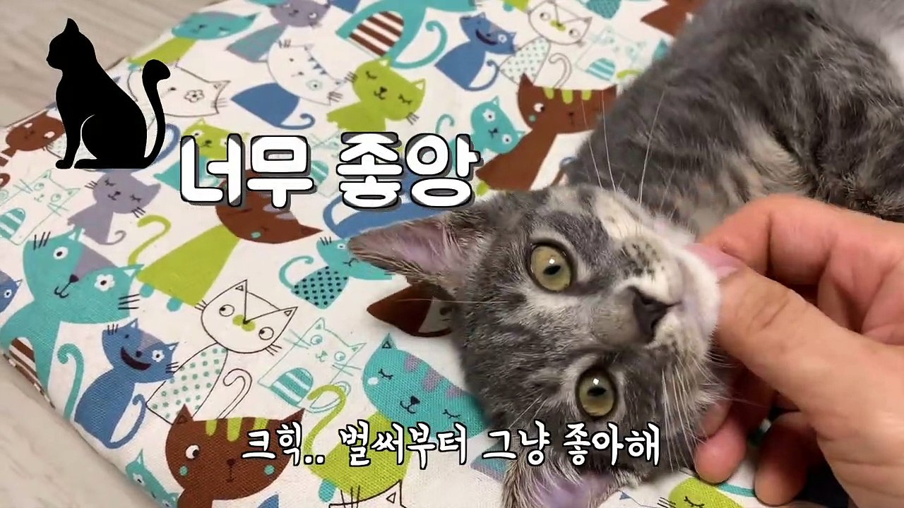 (영덕출장마사지) ##P 100%후불-【 Ø1Ø↔6648↔8529카톡SBS88】영덕출장안마, 영덕출장안마후기, 영덕출장안마'만족τ영덕출장안마'만족도1위 20대여대생의 최상위 서비스