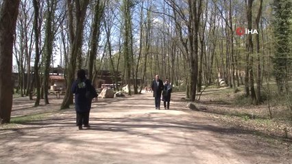 Avrupa'nın En Büyük Doğal Yaşam Parkında Doğan Yavru Deve, İlgi Odağı Oldu