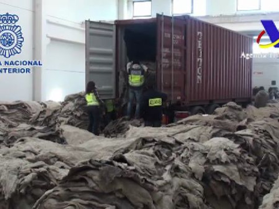 Interceptados 277 kilos de cocaína ocultos entre pieles de bovino y sal