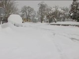 Todo el norte cubierto por una espesa capa de nieve