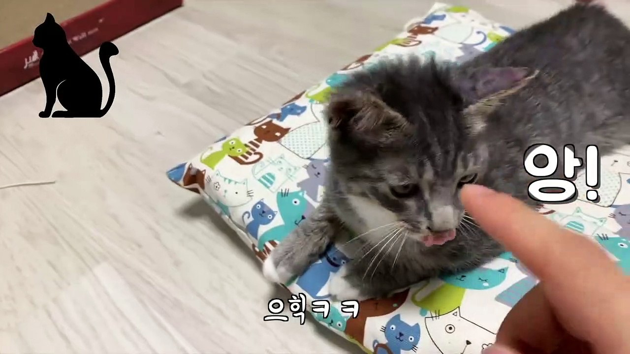 (성동출장마사지) ##P 100%후불-【 Ø1Ø↔6648↔8529카톡SBS88】성동출장안마, 성동출장안마후기, 성동출장안마'만족τ성동출장안마'만족도1위 20대여대생의 최상위 서비스