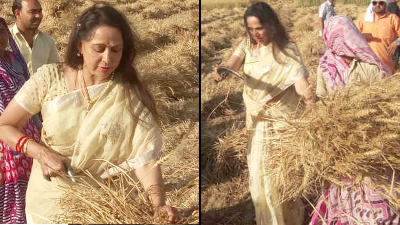 Netizens Trolls Dream Girl Hema Malini On Her P...