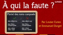 À qui la faute ? #3 : le pluriel des noms composés