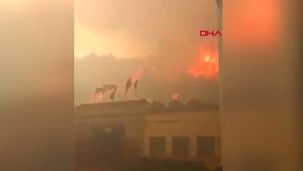 Dha Dış ? Çin'deki Orman Yangınında 24 İtfaiyeci Öldü