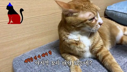 (영동출장마사지) ##P 100%후불-【 Ø1Ø↔6648↔8529카톡SBS88】영동출장안마, 영동출장안마후기, 영동출장안마'만족τ영동출장안마'만족도1위 20대여대생의 최상위 서비스