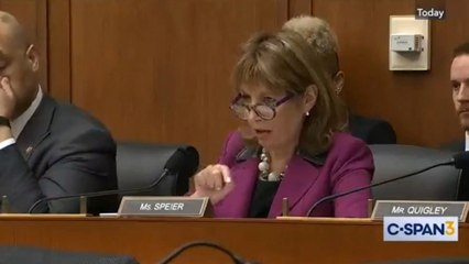 House Intelligence Committee Question Expert On Austrian Bank's Funding Of Trump Tower Project