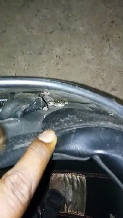 Motorcyclist left terrified after tiny snake takes refuge inside his helmet