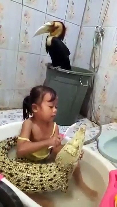 Fearless girl brushes crocodile's teeth during bath in Indonesia