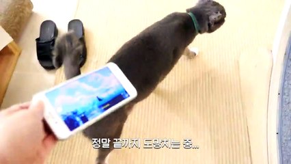 (청도출장마사지) ##P 100%후불-【 Ø1Ø↔6648↔8529카톡SBS88】청도출장안마, 청도출장안마후기, 청도출장안마'만족τ청도출장안마'만족도1위 20대여대생의 최상위 서비스