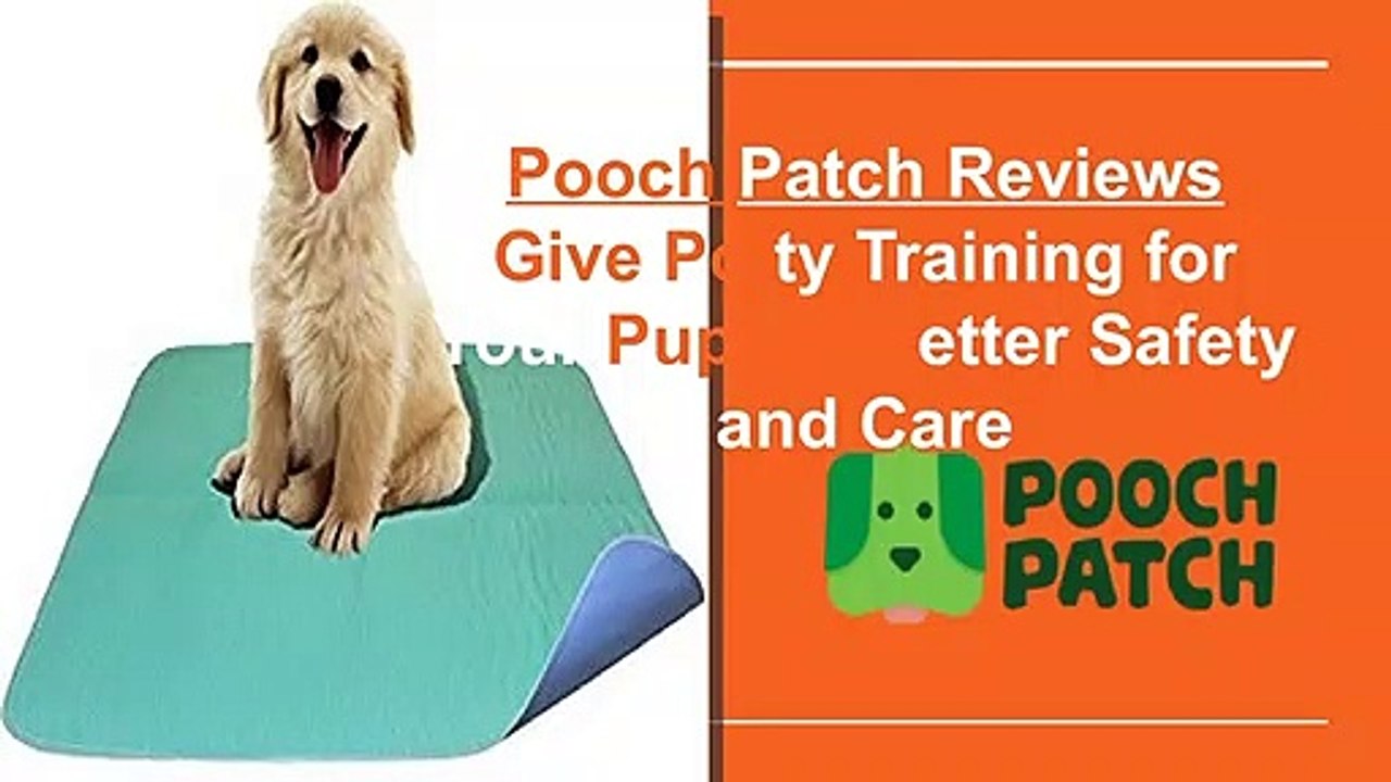 Pooch Patch Customers Reviews to Give Potty Training for Pet