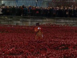 Amapolas de cerámica adornan la torre de Londres