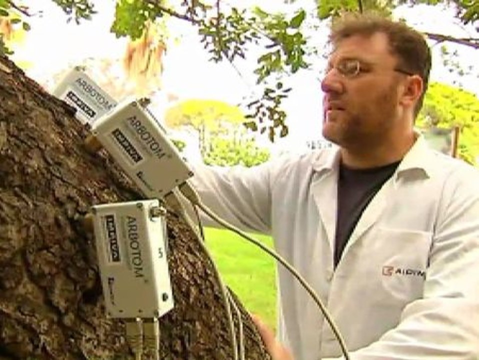 Tecnología contra las caídas de árboles