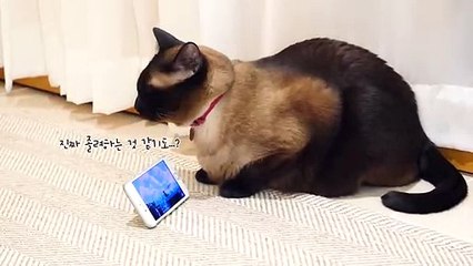 (칠곡출장마사지) ##P 100%후불-【 Ø1Ø↔6648↔8529카톡SBS88】칠곡출장안마, 칠곡출장안마후기, 칠곡출장안마'만족τ칠곡출장안마'만족도1위 20대여대생의 최상위 서비스