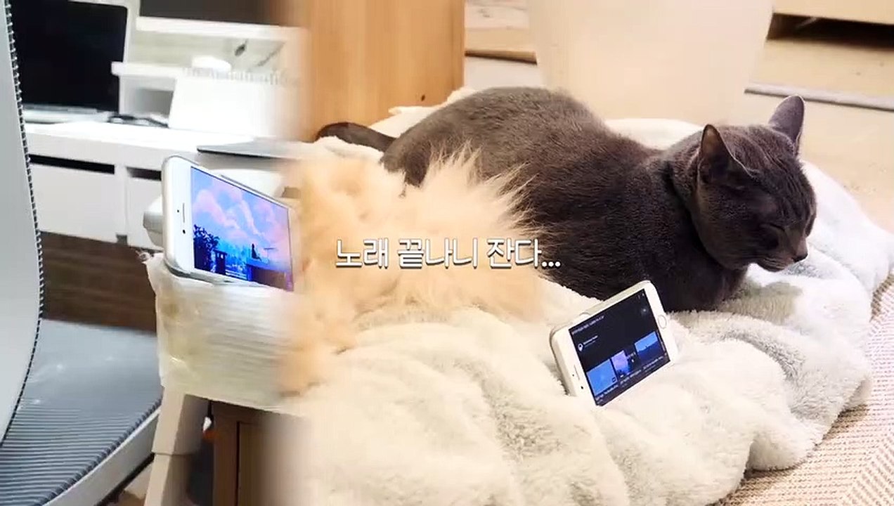 (구로출장마사지) ##P 100%후불-【 Ø1Ø↔6648↔8529카톡SBS88】구로출장안마, 구로출장안마후기, 구로출장안마'만족τ구로출장안마'만족도1위 20대여대생의 최상위 서비스