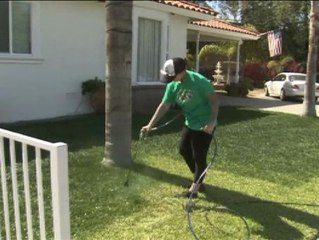 Combatir la sequía con pintura vegetal