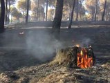 Más de 200 personas y 15 medios aéreos apagan los últimos restos del incendio de Cartaya