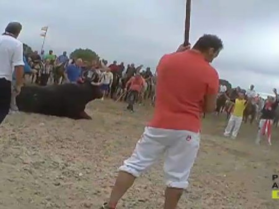 Continúan las críticas al Toro de la Vega
