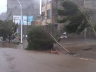 El supertifón Rammasun causa estragos en el sur de China