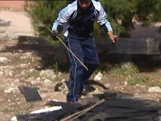 Árboles por la integración