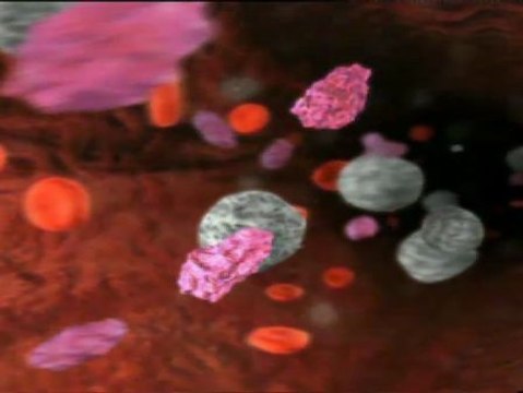 Científicos españoles descubren que una proteína influye en el desarrollo del cáncer