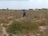 La sequía de los últimos meses empeora la situación de los agricultores españoles