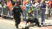 Récord de participantes en el maratón de Boston un año después del atentado